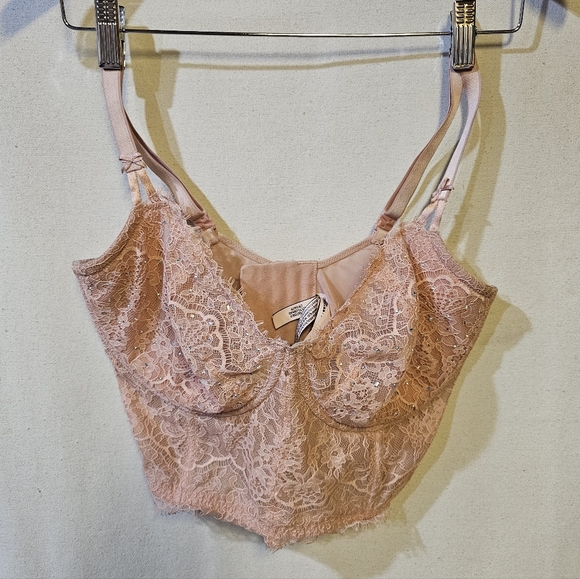 Victoria's Secret Other - Victoria Secrets Bustier Lace Top in Blush Pink